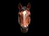 Cavalo