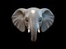 Elefante