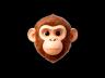 Macaco