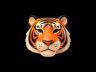 Tigre