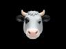 Vaca
