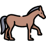 Cavalo