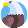 Águia