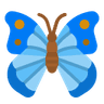 Borboleta