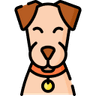Cachorro